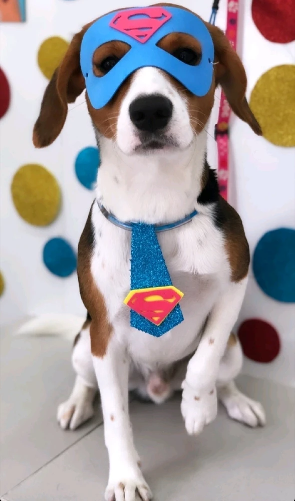 GIF enviado por Victor