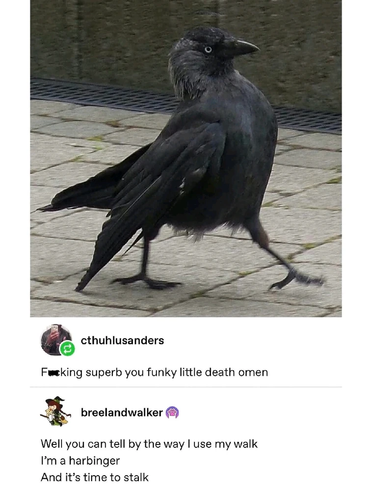 GIF uploaded by Melanie