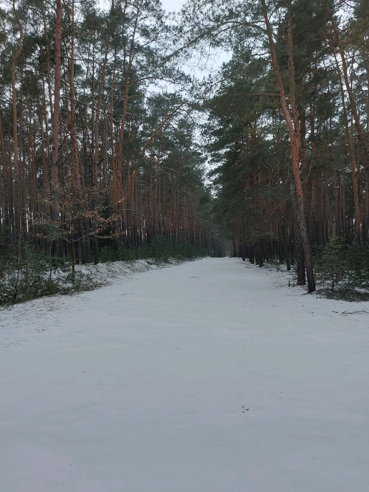 Zdjęcie dodane przez Jakub