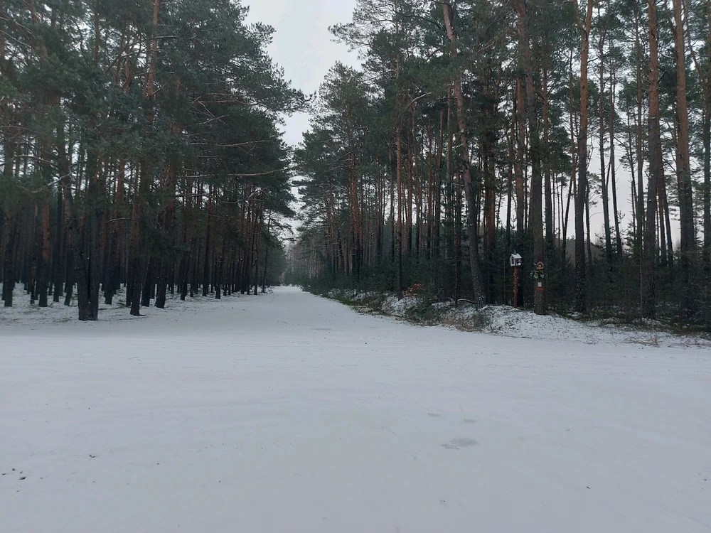 Zdjęcie dodane przez Jakub