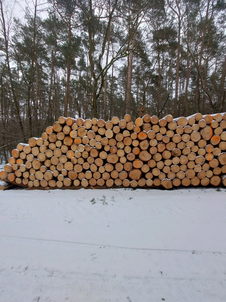 Zdjęcie dodane przez Jakub