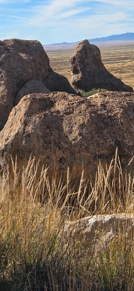 Image uploaded by 🌲🌳🪻Wildflower🪻🌳🌲