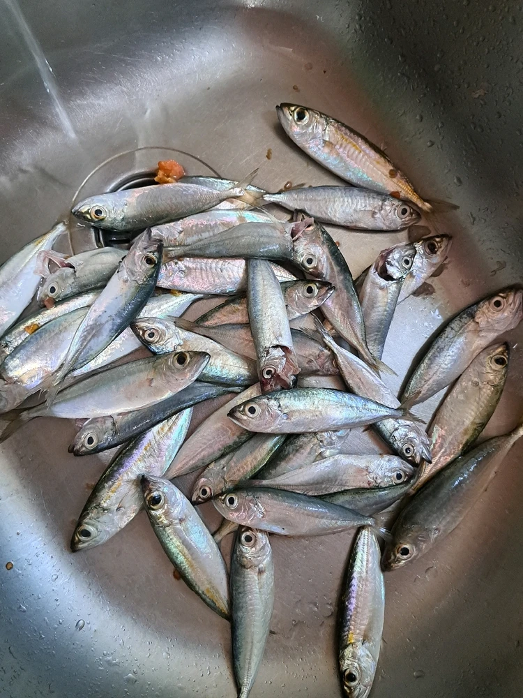 GIF uploaded by Samuel