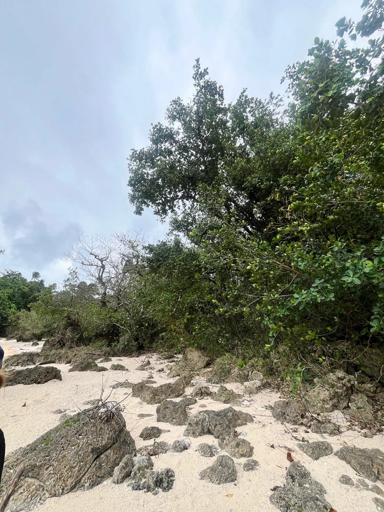 Image uploaded by Madoo