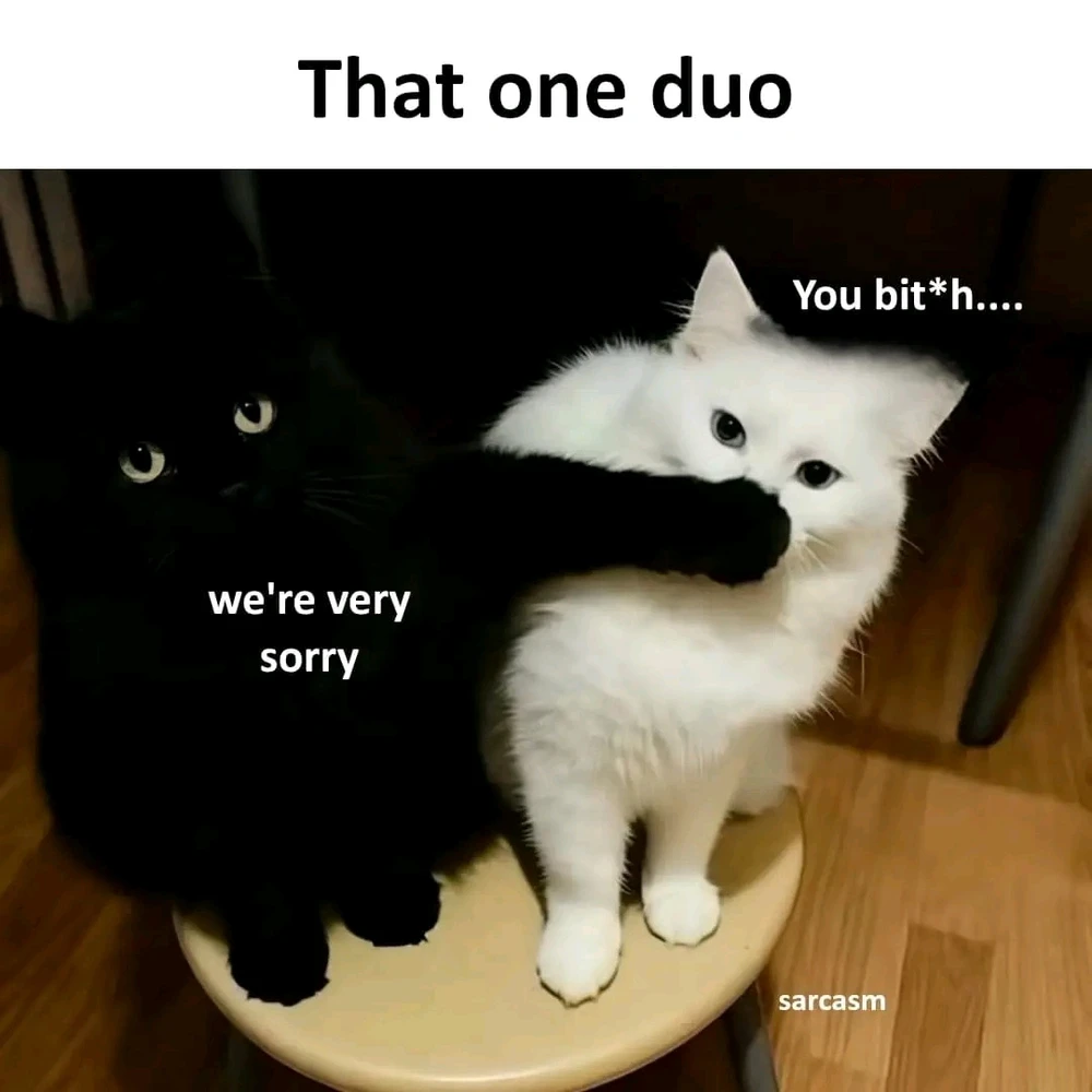 GIF uploaded by Idta