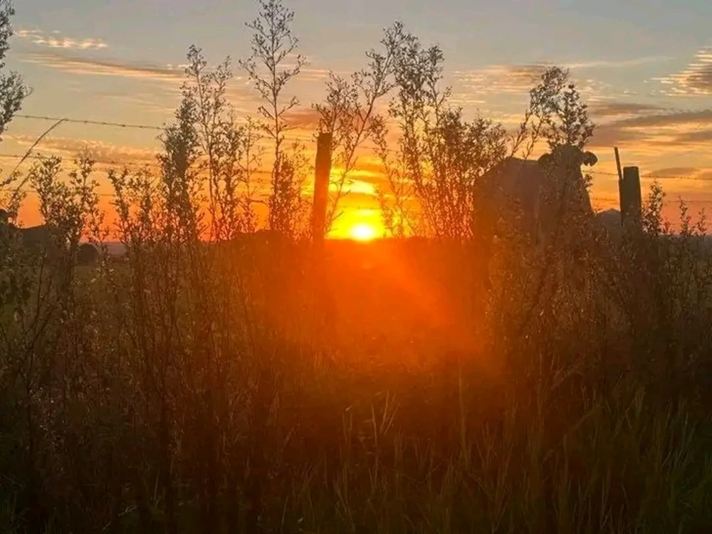 Image uploaded by ❤ Sophia aka Mango Mami ❤️