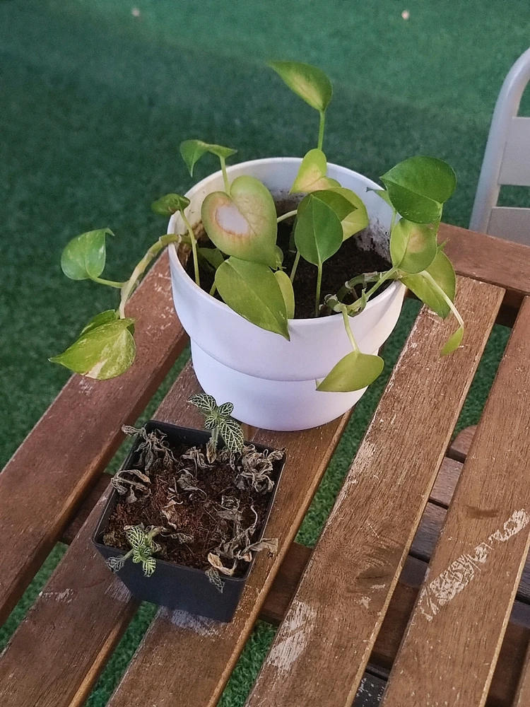 GIF uploaded by Nanie