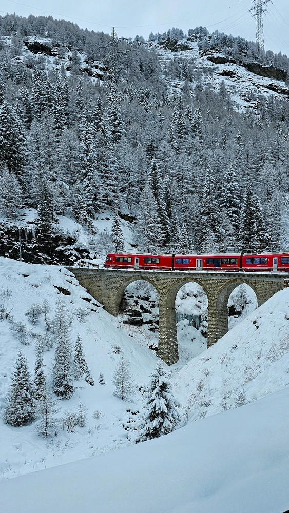 Image uploaded by Christina