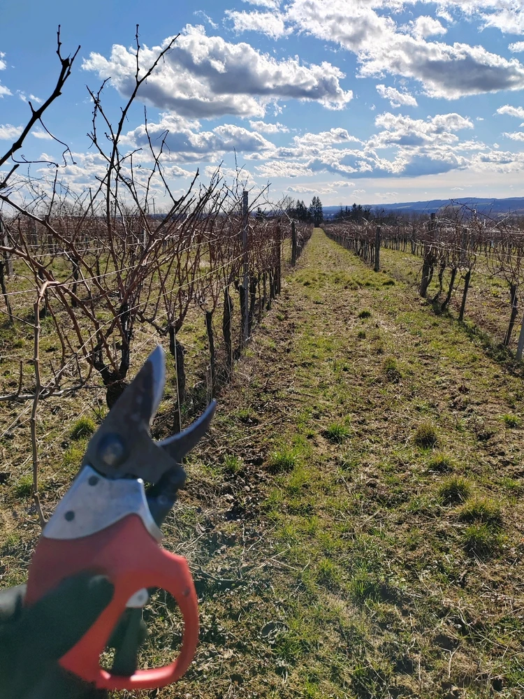 Kristóf által feltöltött GIF