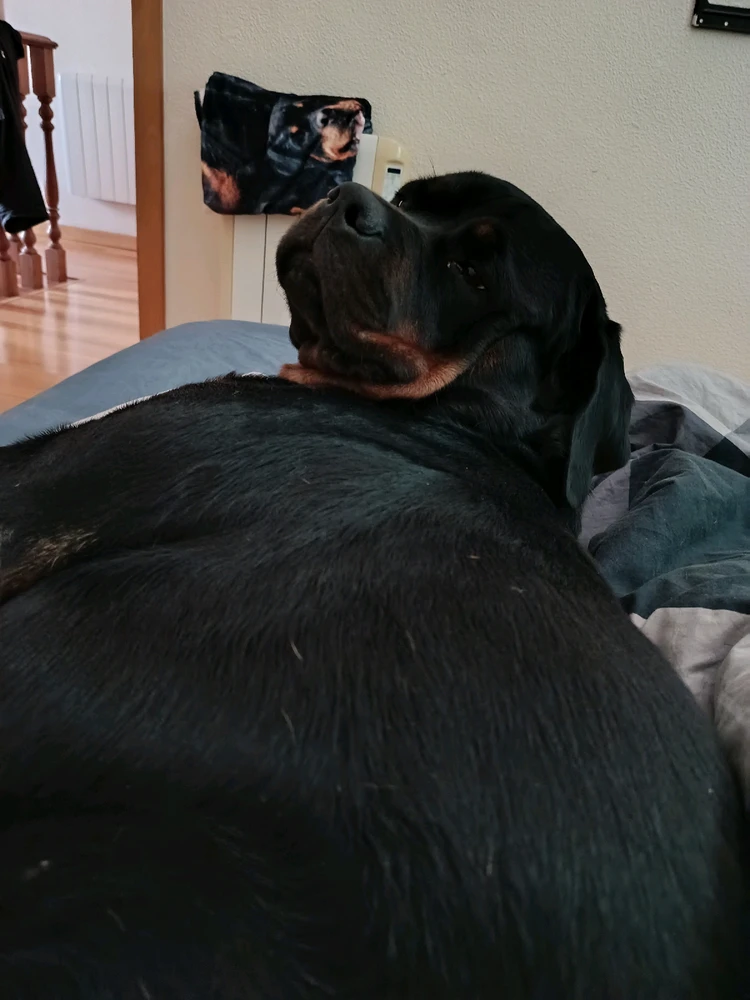 GIF enviado por Sandro