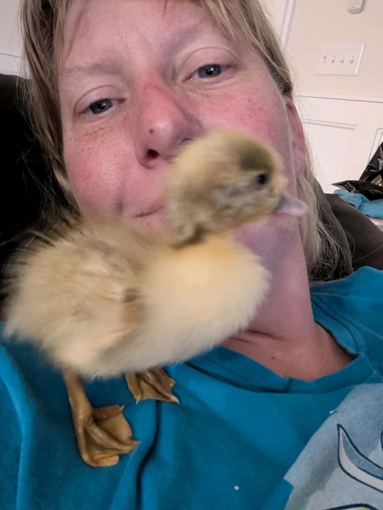 Image uploaded by Katie