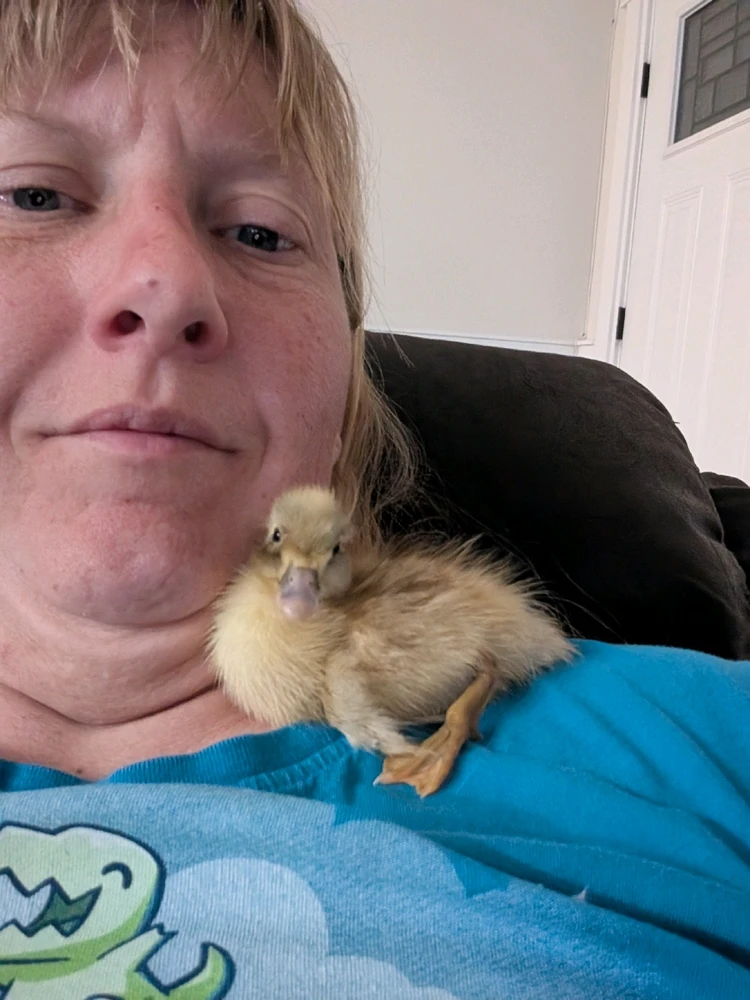 Image uploaded by Katie