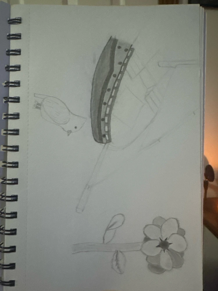 Image uploaded by Jered