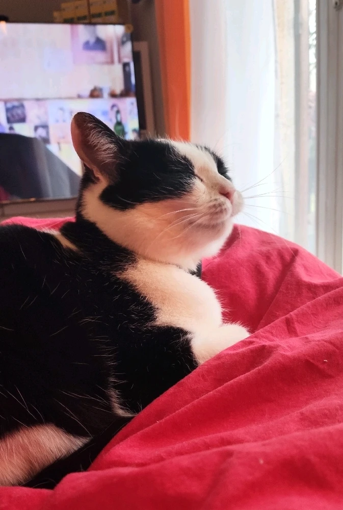 GIF ajouté par Jocelyn