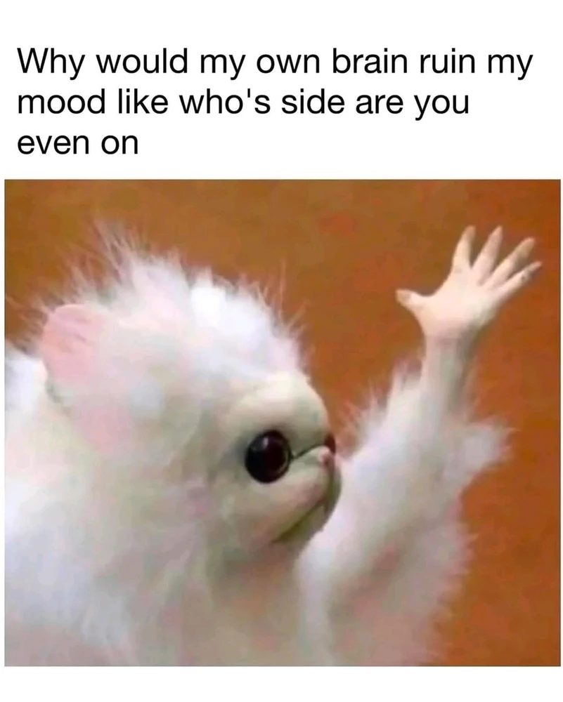 Image uploaded by Jay