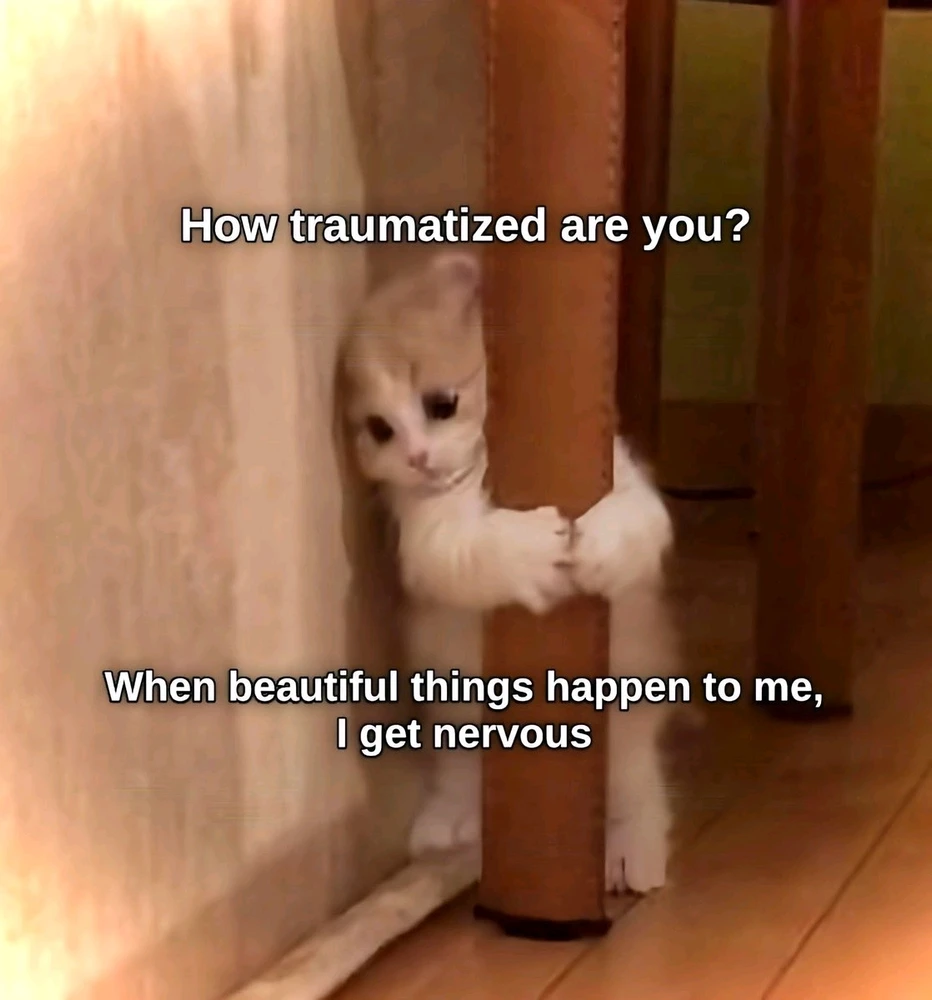 GIF uploaded by ꧁꫱꧂ 𝒴𝓊𝓂𝒿𝑒𝓎 ꧁꫱꧂