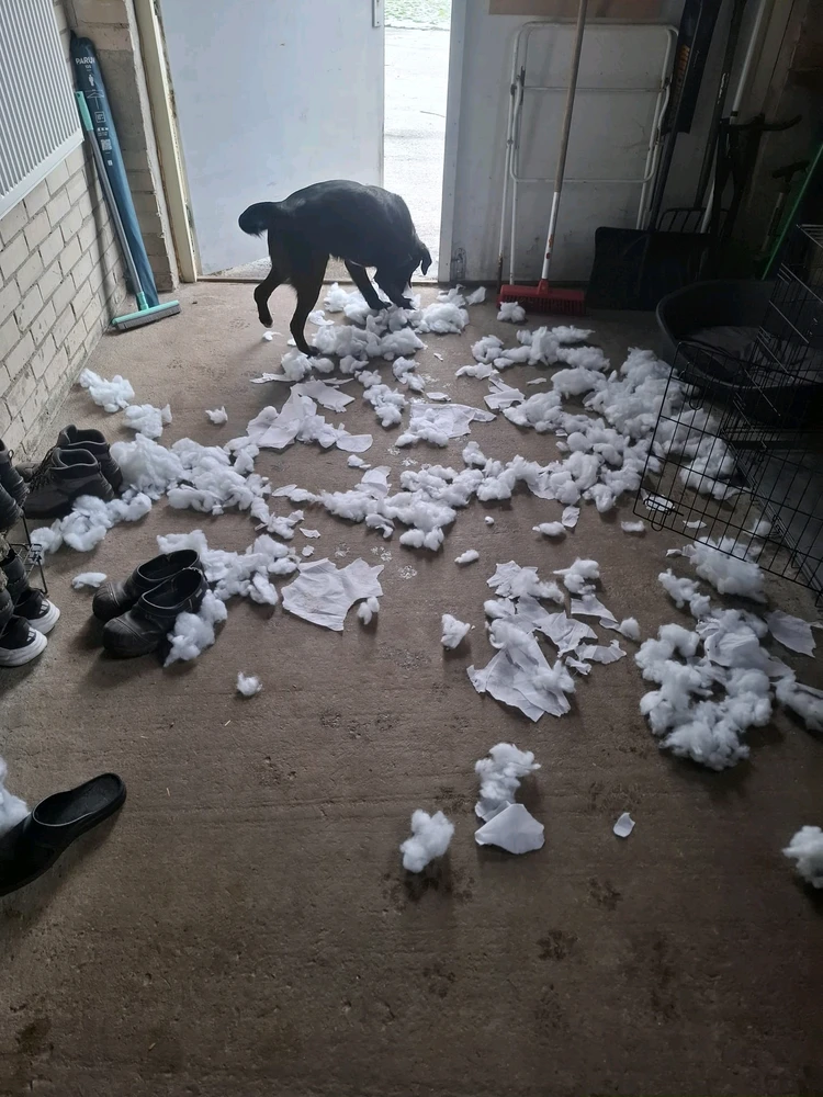 GIF uploaded by Jarno