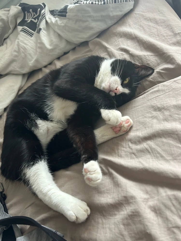 GIF ajouté par Aurian