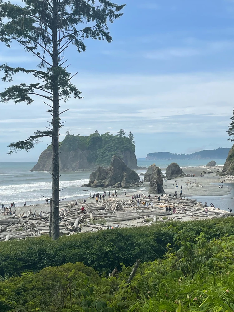 GIF uploaded by Adam