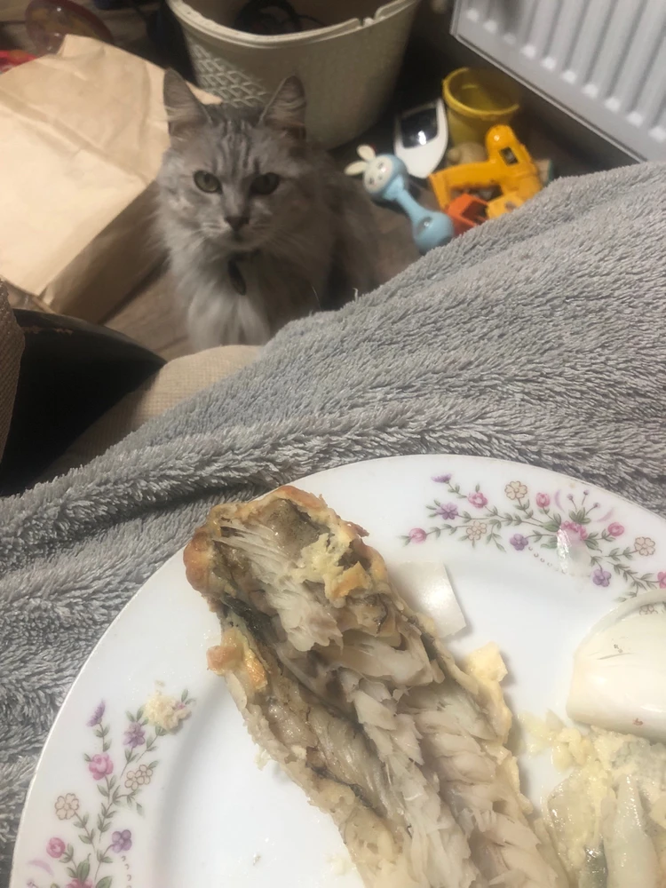 Фото загрузил Yulia