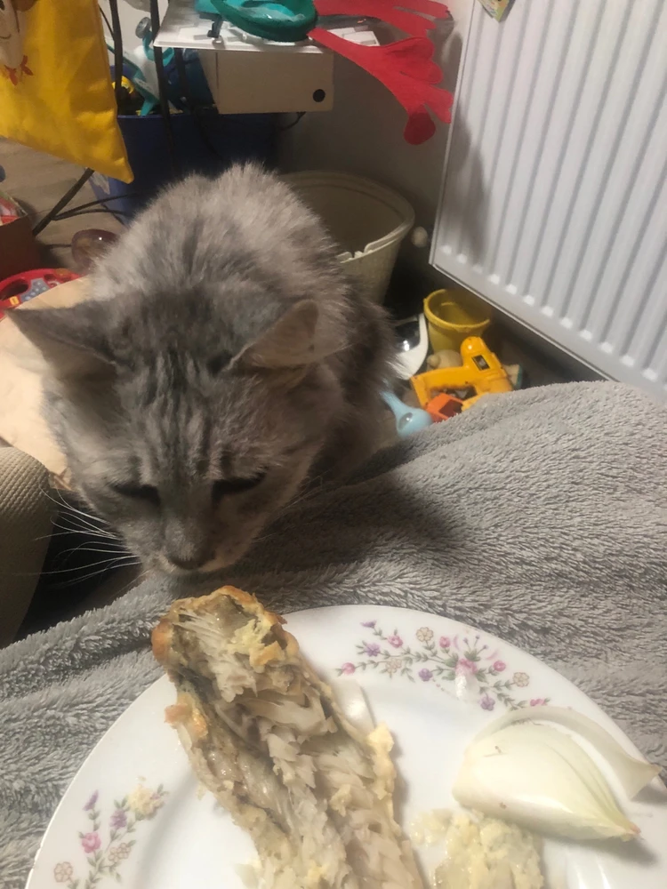 Фото загрузил Yulia