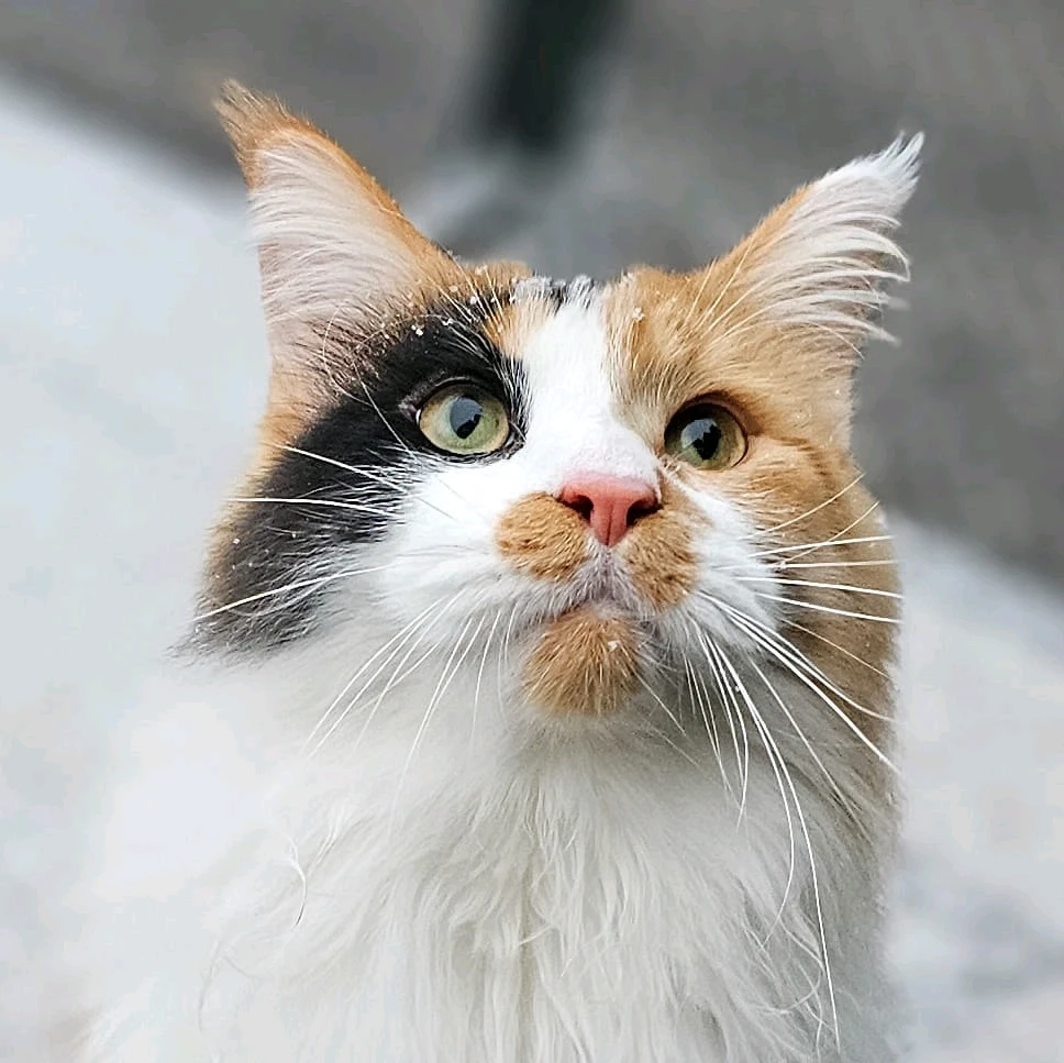 GIF uploaded by Christina