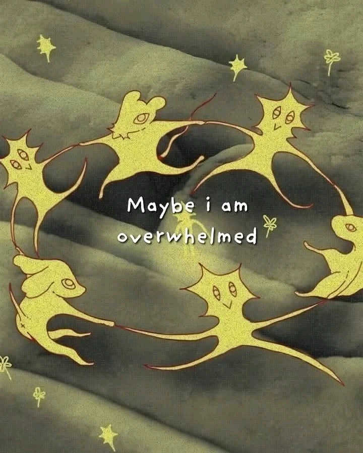 Image uploaded by Eli