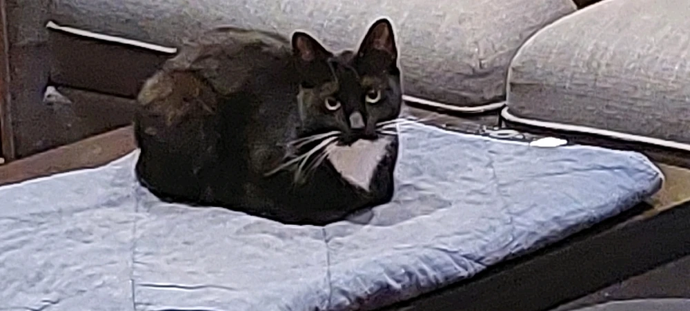 GIF uploadet af Erik Kruse