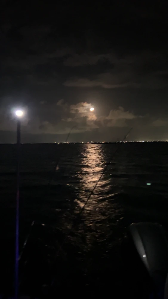 Image uploaded by Caden