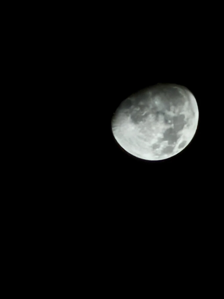 Image uploaded by Caden