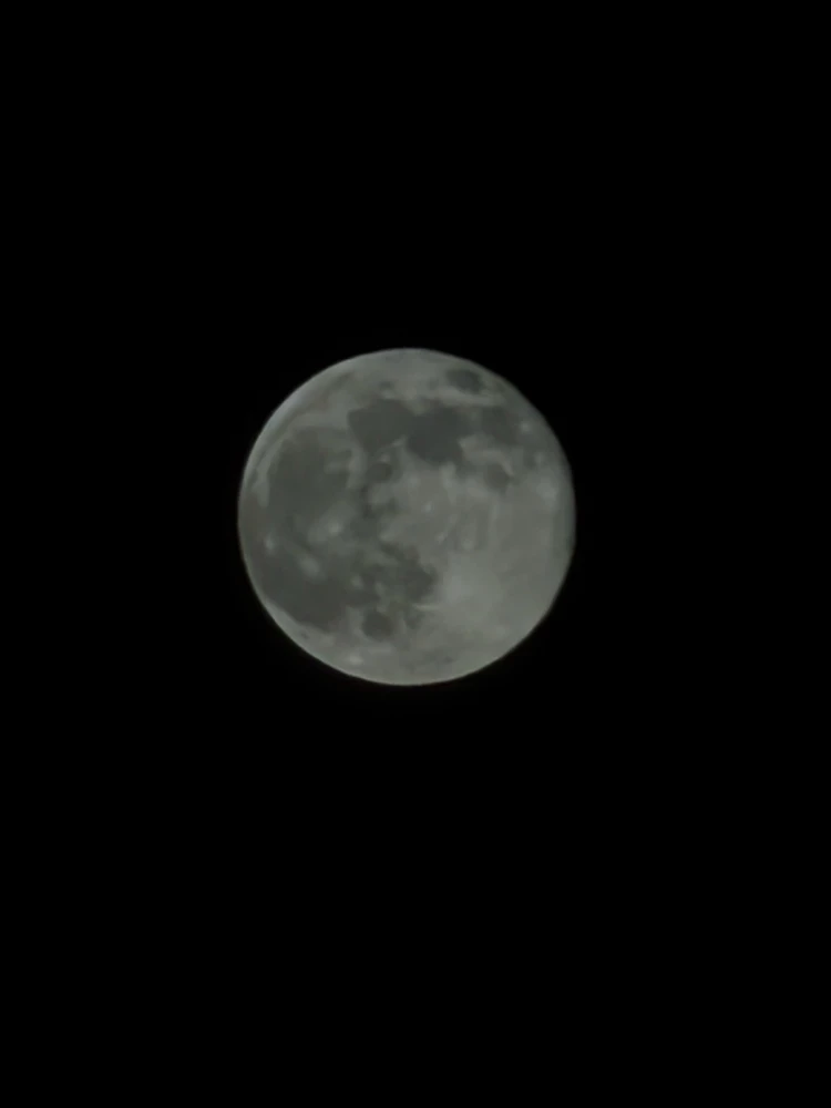 Image uploaded by Caden