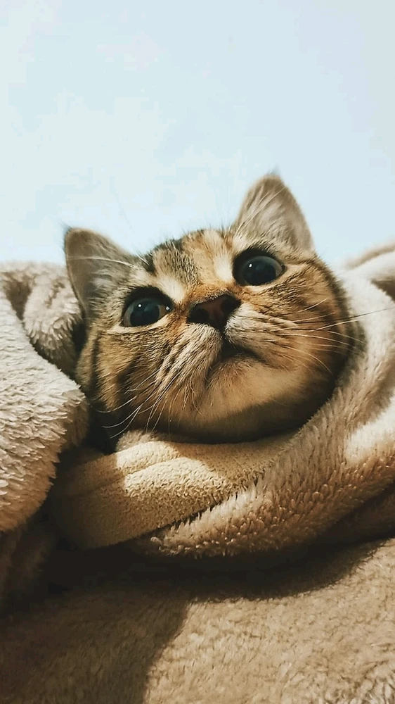 Image uploaded by 𝓢𝓮𝓻𝓮𝓷 • 𝓢𝓮𝓻𝓮𝓷𝓭𝓲𝓹𝓲𝓽𝔂