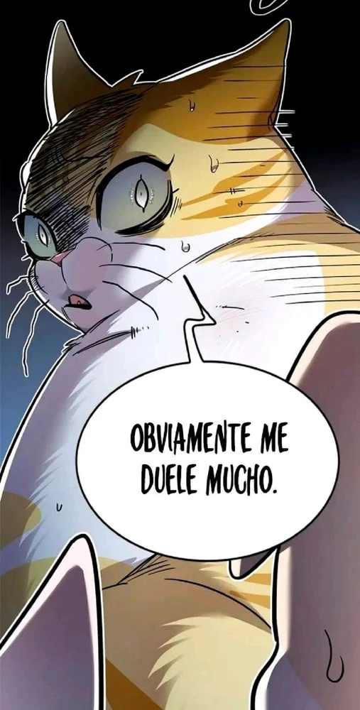 Imagen subida por Catalina