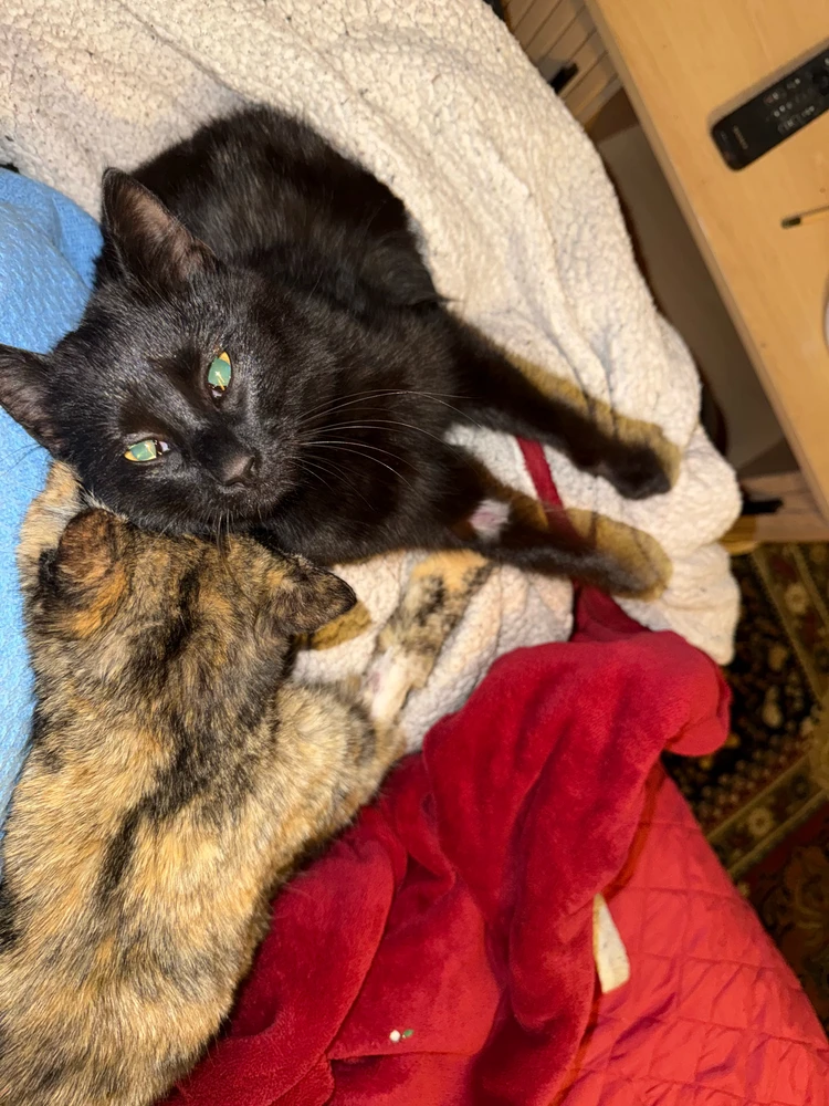 Immagine caricata da AleGGG