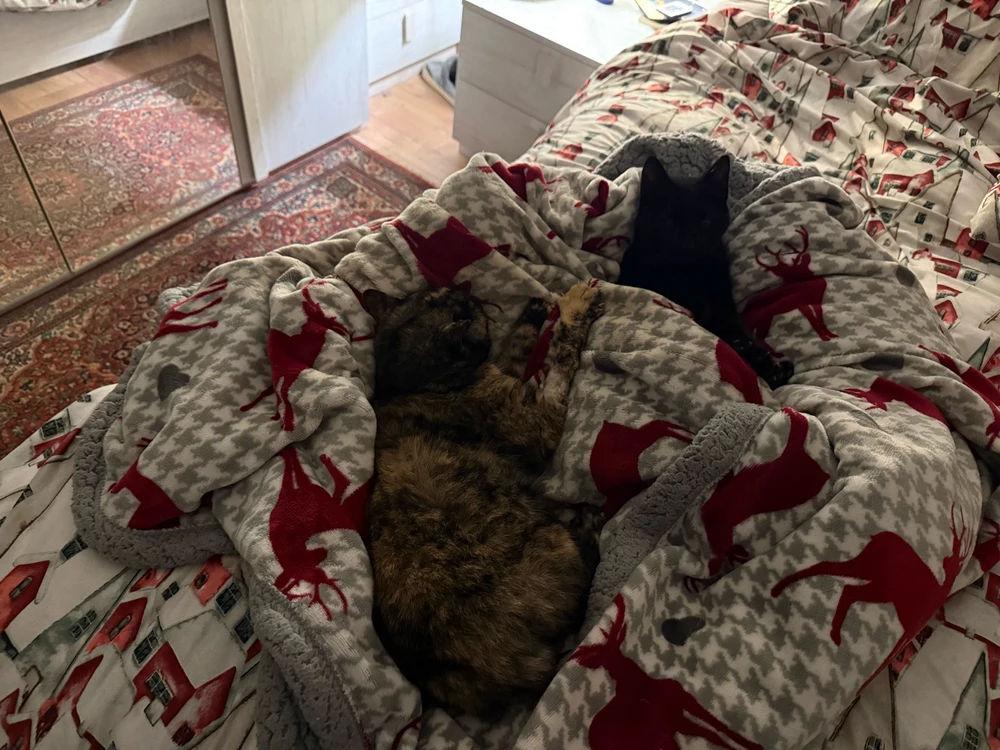 Immagine caricata da AleGGG