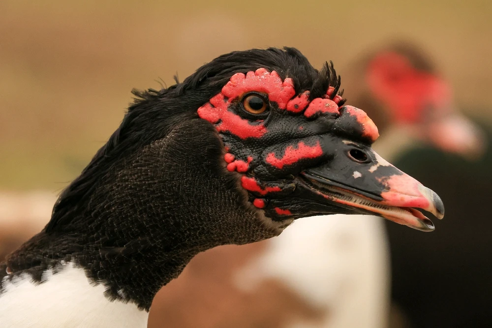 Image uploaded by Will