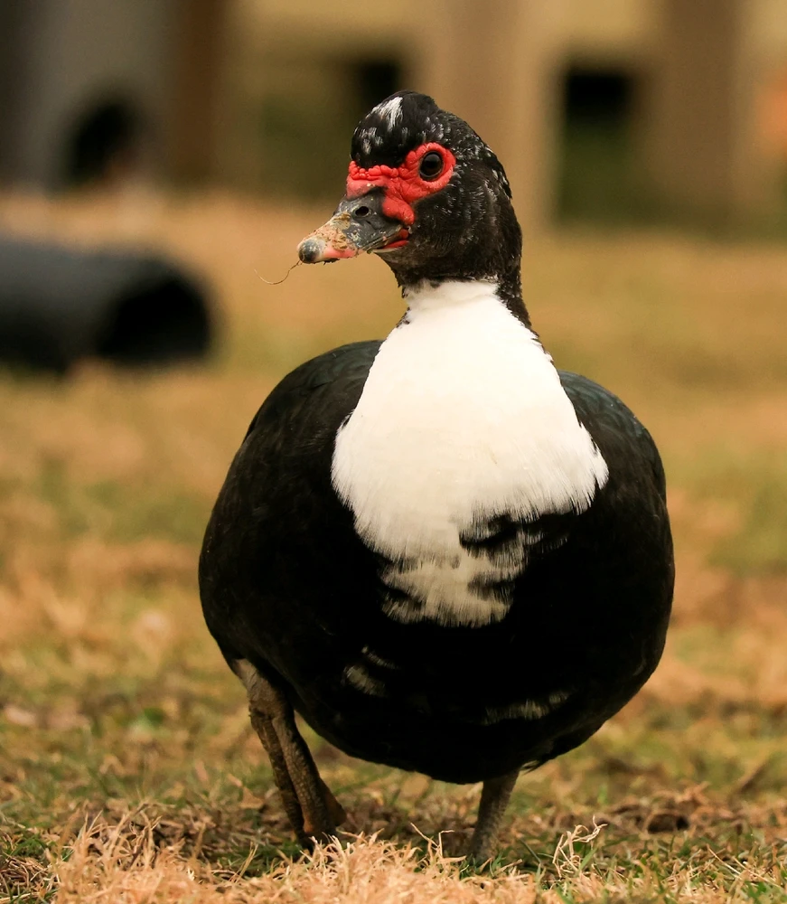 Image uploaded by Will