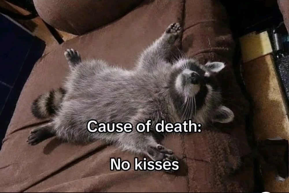 GIF uploaded by Aquarius®