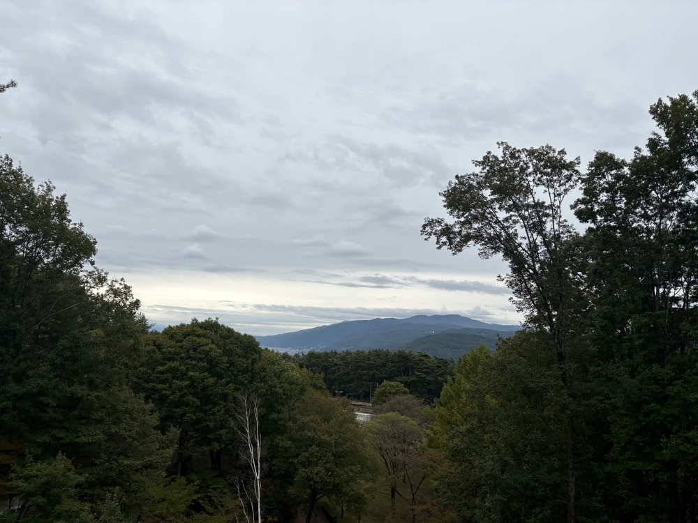 Image uploaded by Ryan