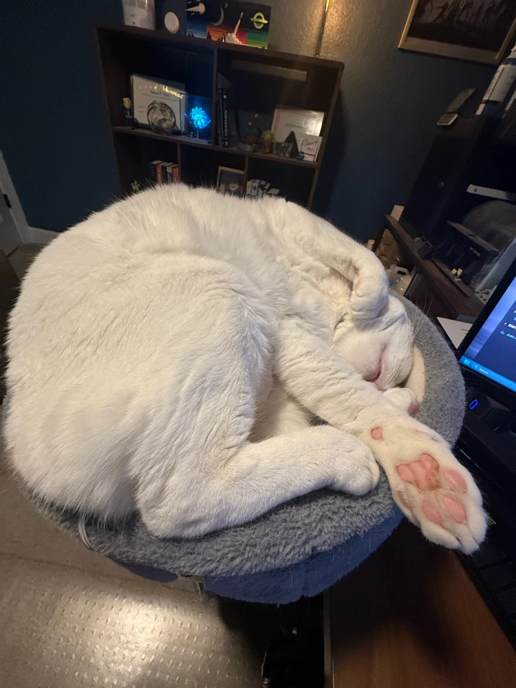 Image uploaded by Nick