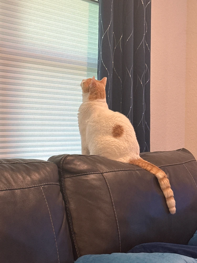 Image uploaded by Nick