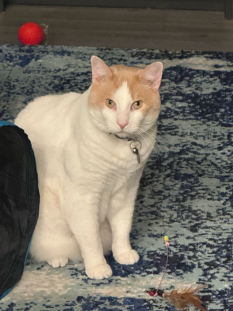 Image uploaded by Nick