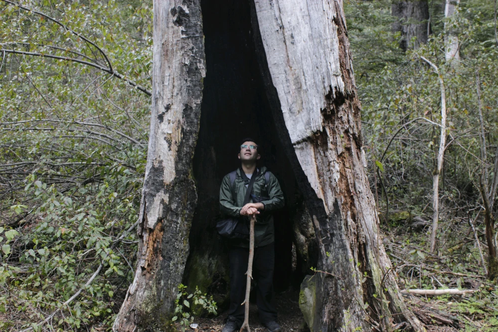 GIF uploaded by Nico