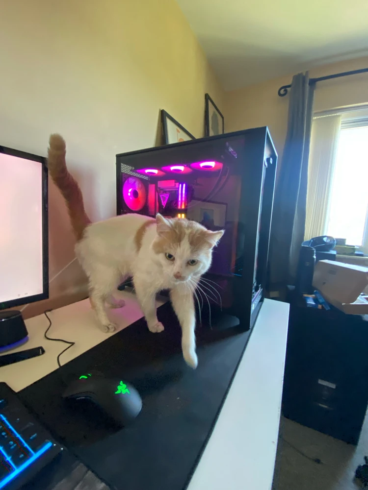 GIF uploaded by Ryan