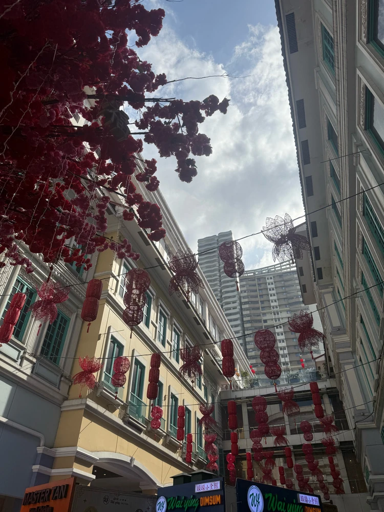 Image uploaded by Penelope