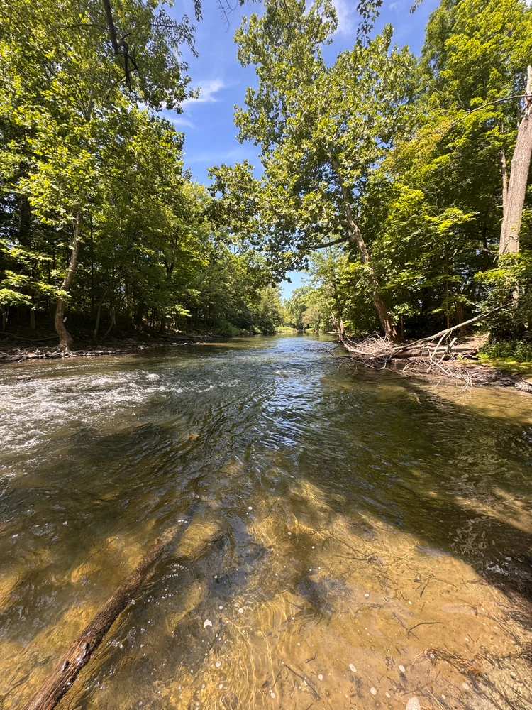 Image uploaded by Divania