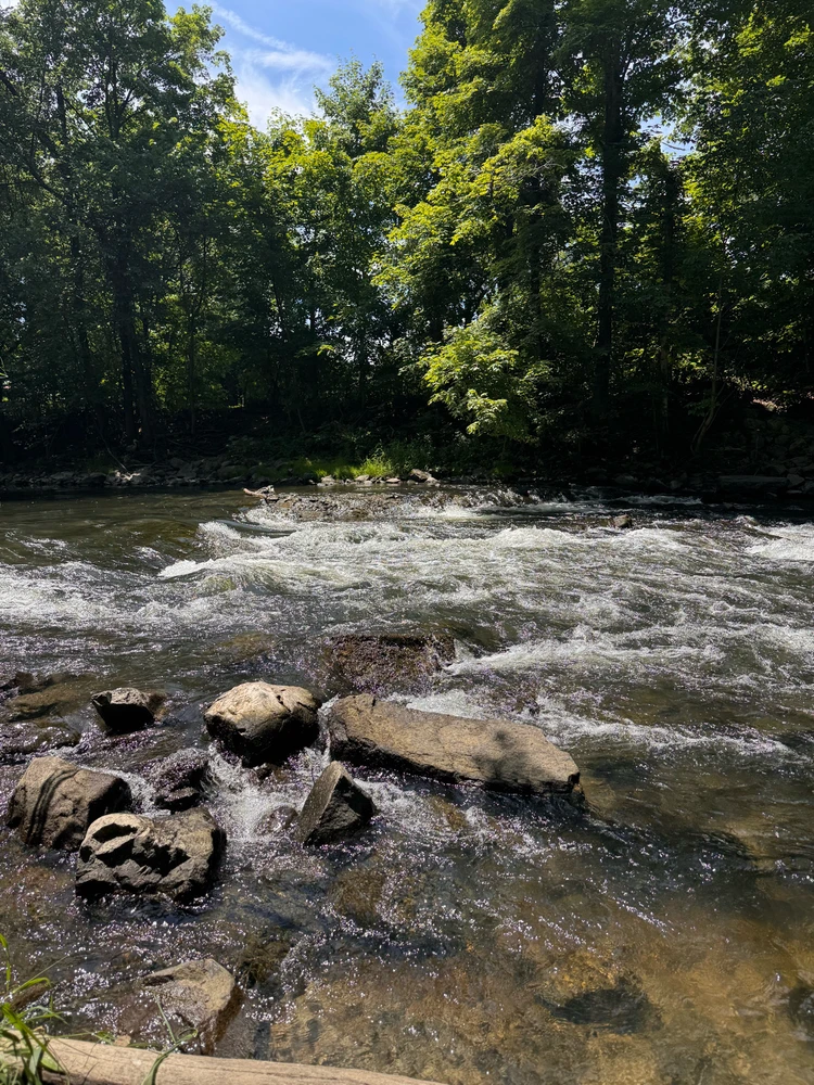 Image uploaded by Divania