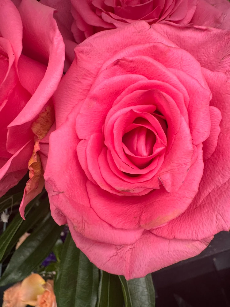 Image uploaded by Divania