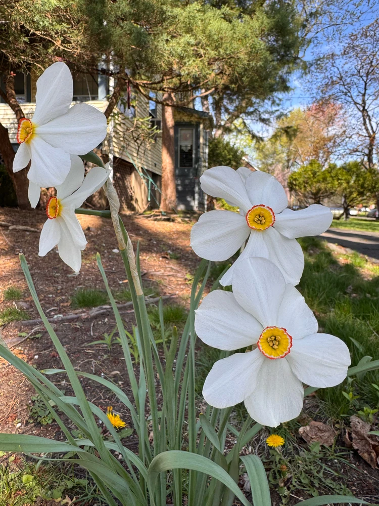 Image uploaded by Divania