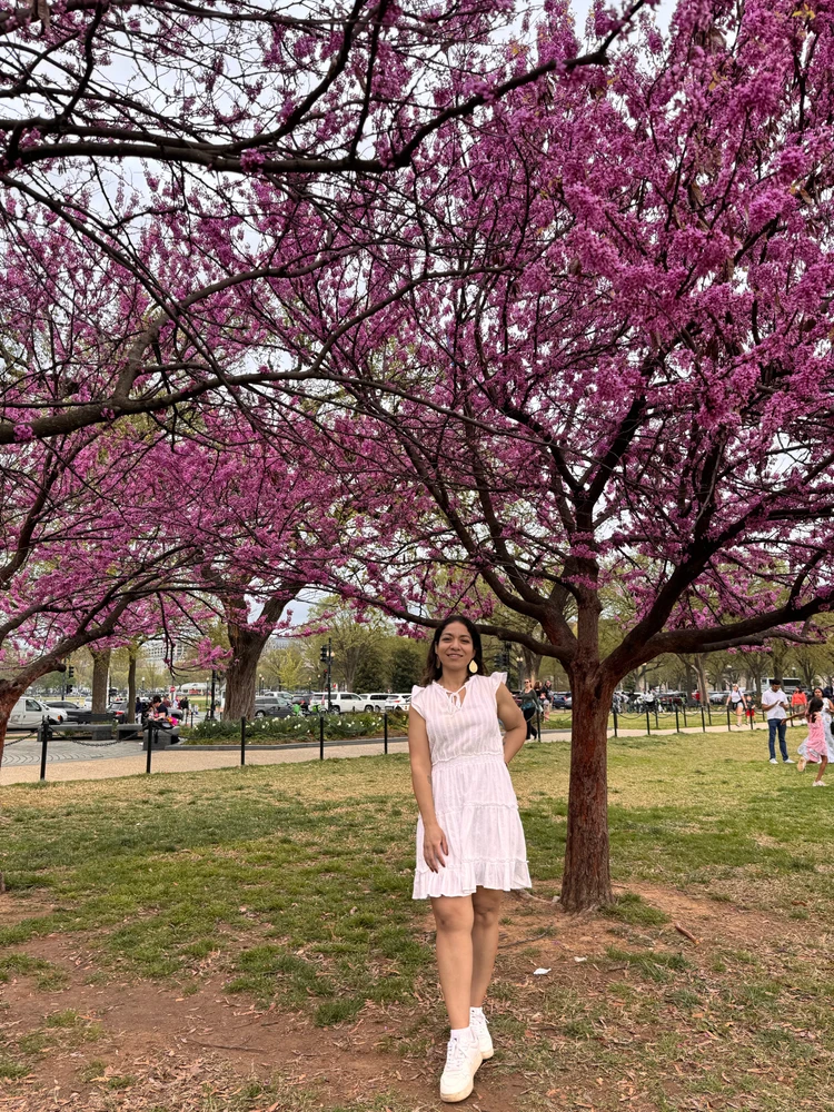 Image uploaded by Divania